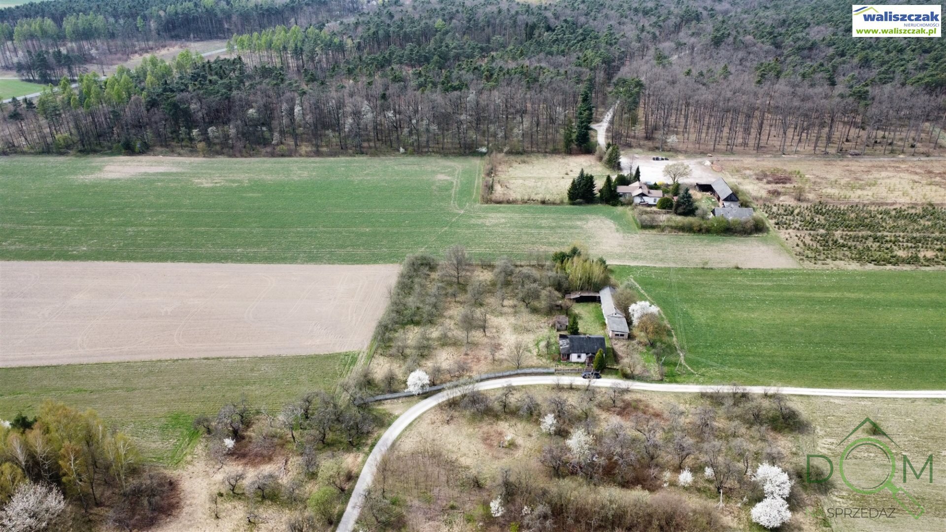 waliszczak_nieruchomosci_ds_DS-14856_3.jpg