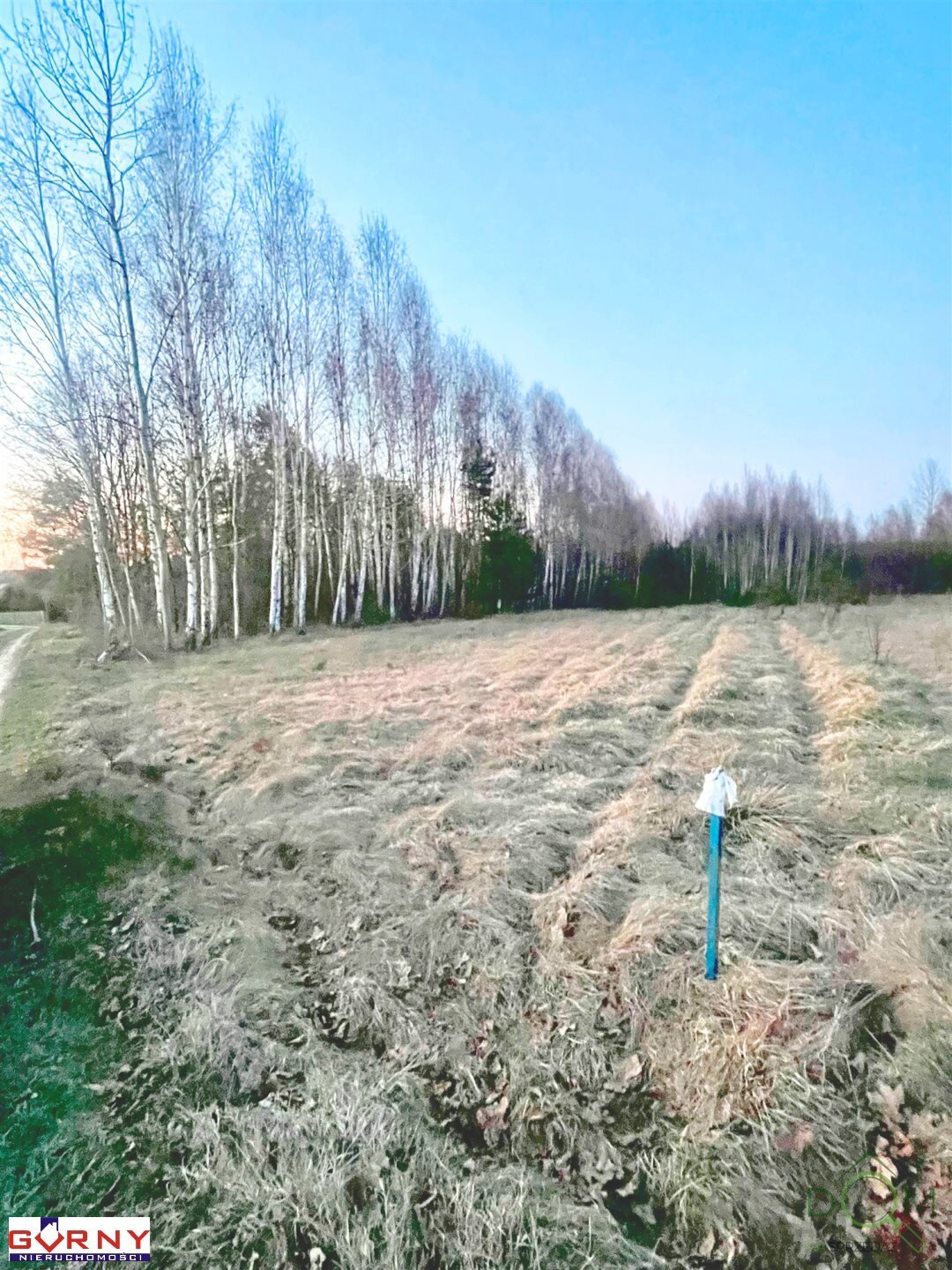 gorny_nieruchomosci_zs_NIG-GS-4276_10.jpg