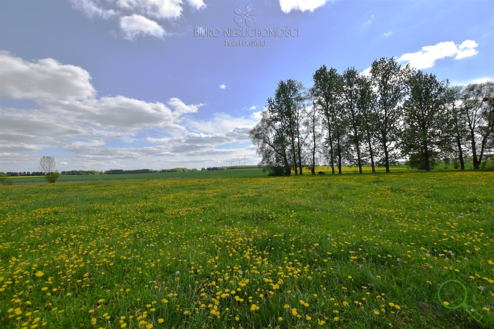 dolinscy_nieruchomosci_ds_PDN-DS-55_21.jpg