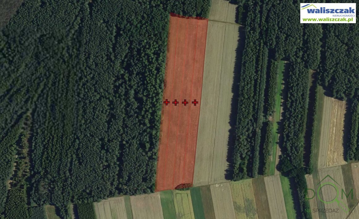waliszczak_nieruchomosci_zs_GS-14328_2.jpg