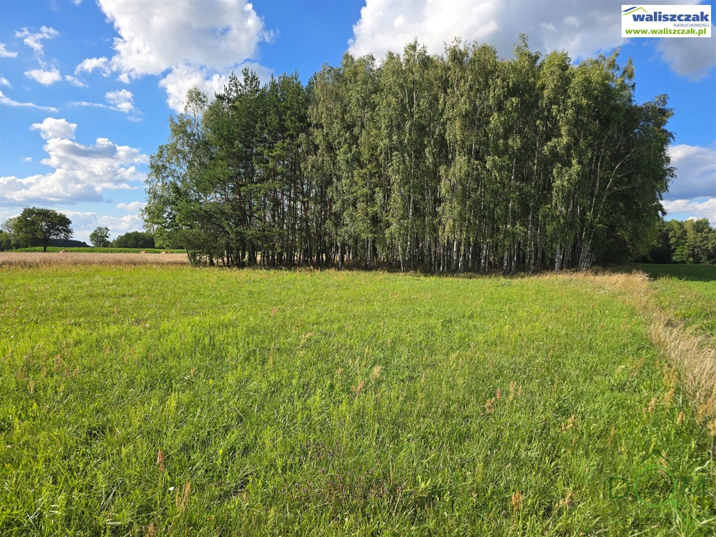 waliszczak_nieruchomosci_zs_GS-13639_2.jpg