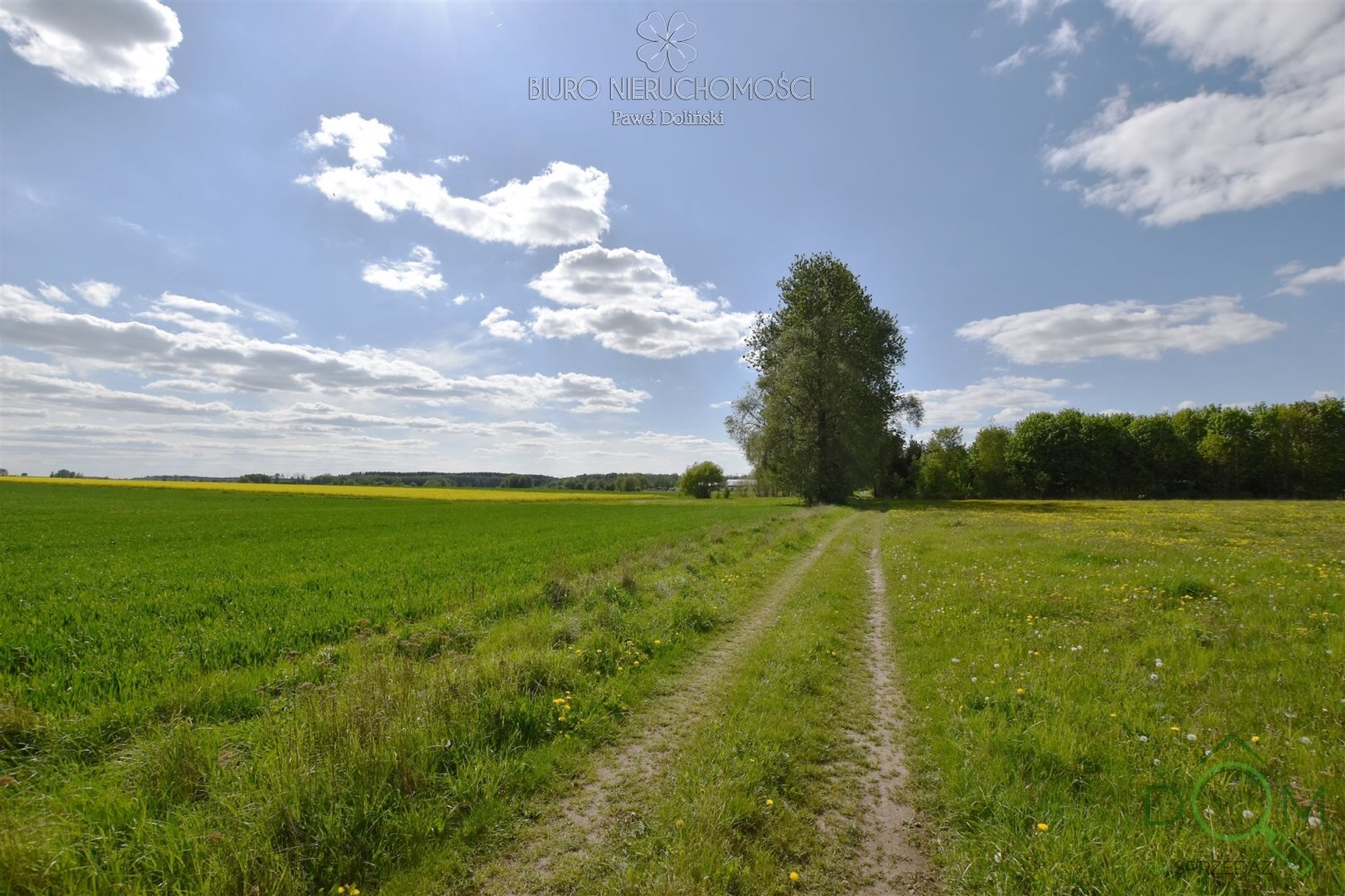 dolinscy_nieruchomosci_ds_PDN-DS-55-1_24.jpg