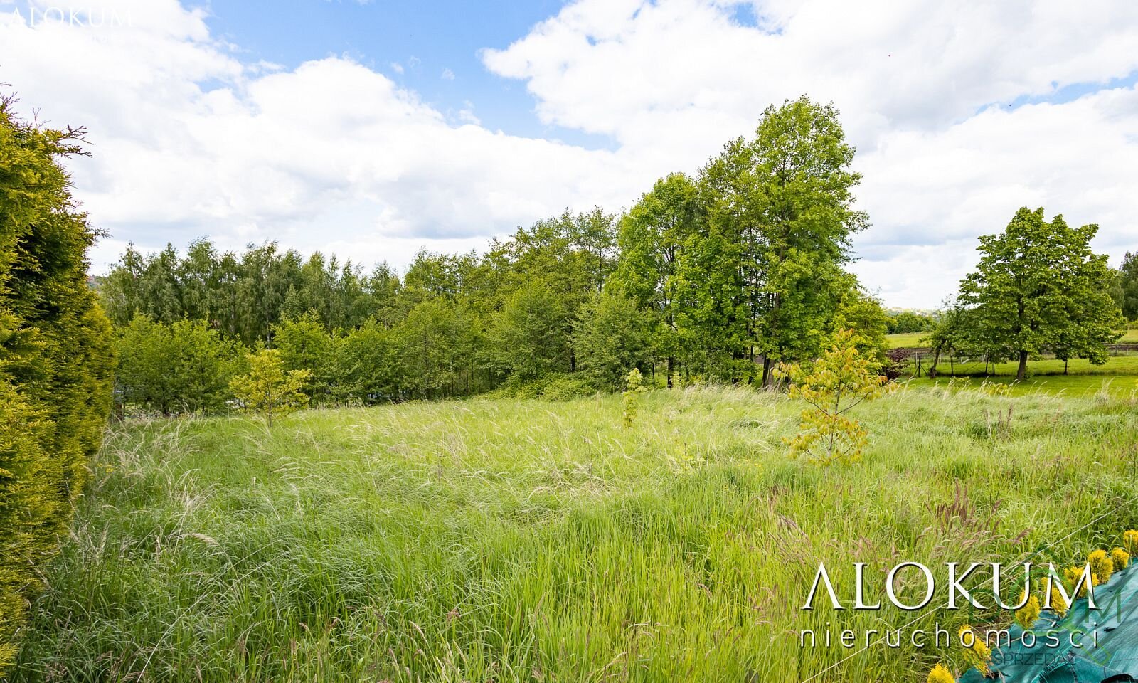 alokum_nieruchomosci_zs_3223_11.jpg