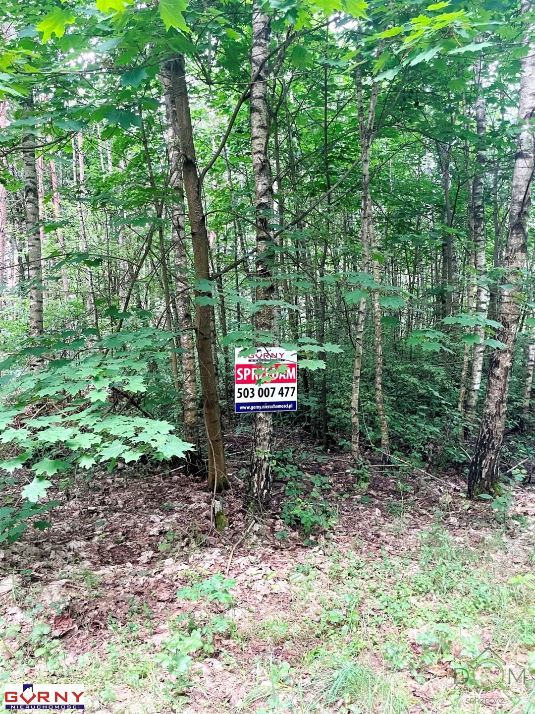 gorny_nieruchomosci_zs_NIG-GS-4422_3.jpg