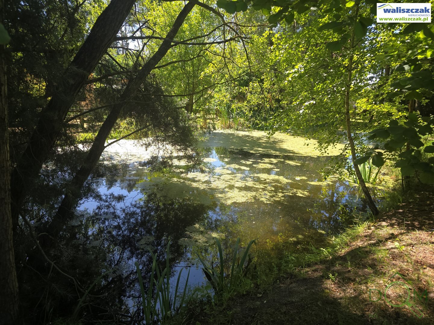 waliszczak_nieruchomosci_zs_GS-14916_7.jpg