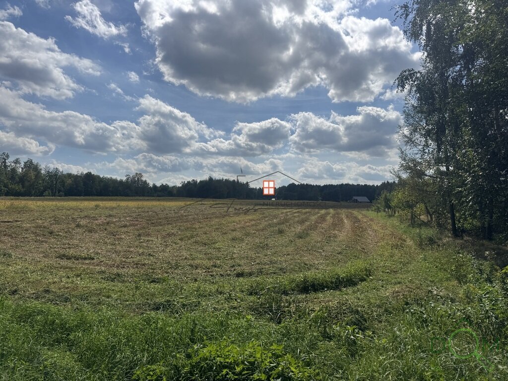 107473888.jpg