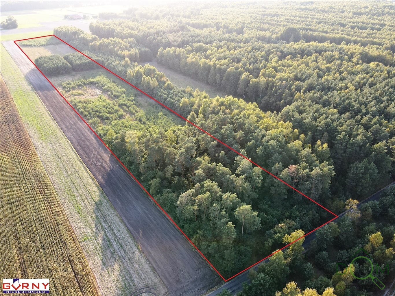 gorny_nieruchomosci_zs_NIG-GS-4656_3.jpg