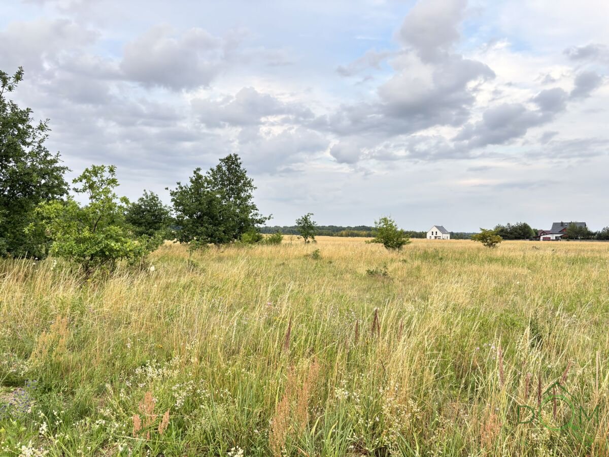 pozysk_nieruchomosci_zs_595403_11.jpg
