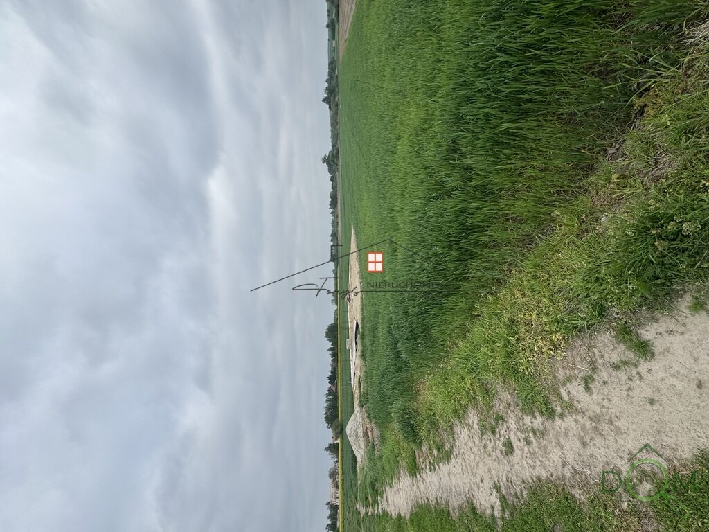112673402.jpg