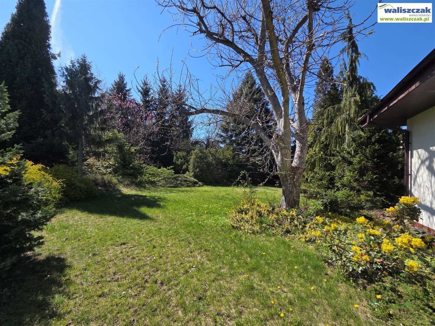 waliszczak_nieruchomosci_ds_DS-14859-2_30.jpg