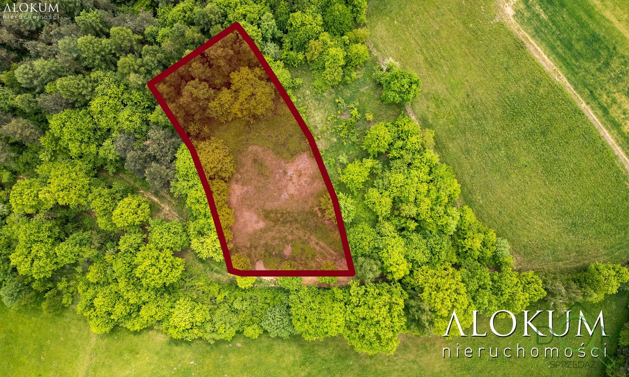 alokum_nieruchomosci_zs_3021_2.jpg
