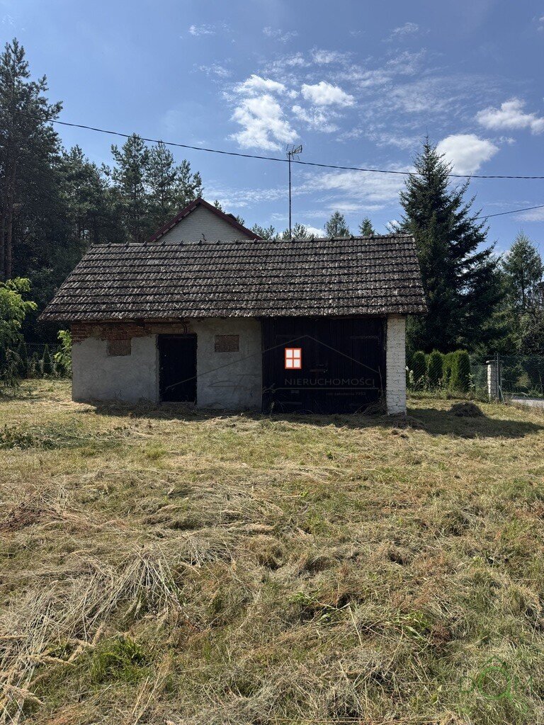 114271549.jpg