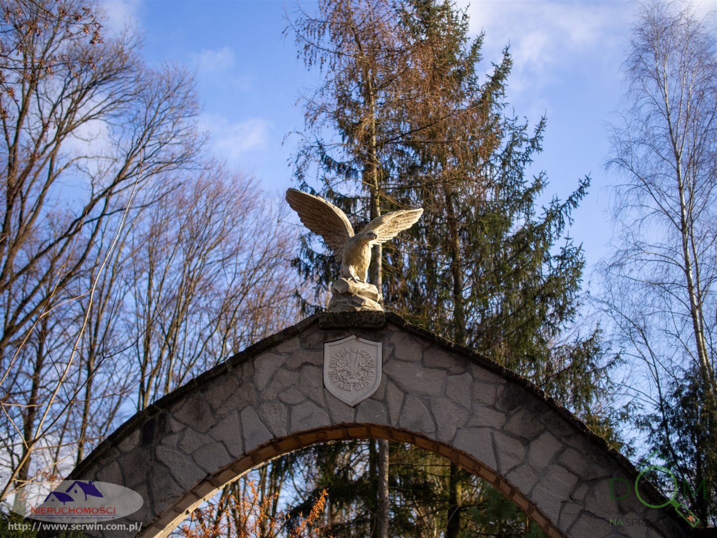 jolanta_serwin_ds_JSN-DS-3065-3_7.jpg