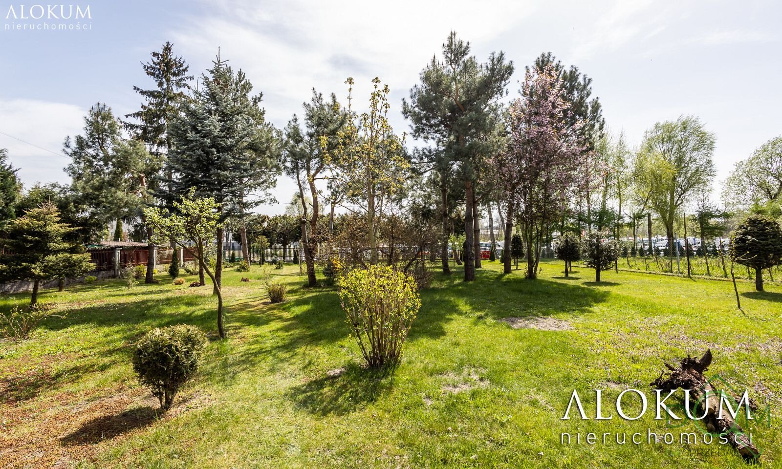 alokum_nieruchomosci_ds_3439_24.jpg