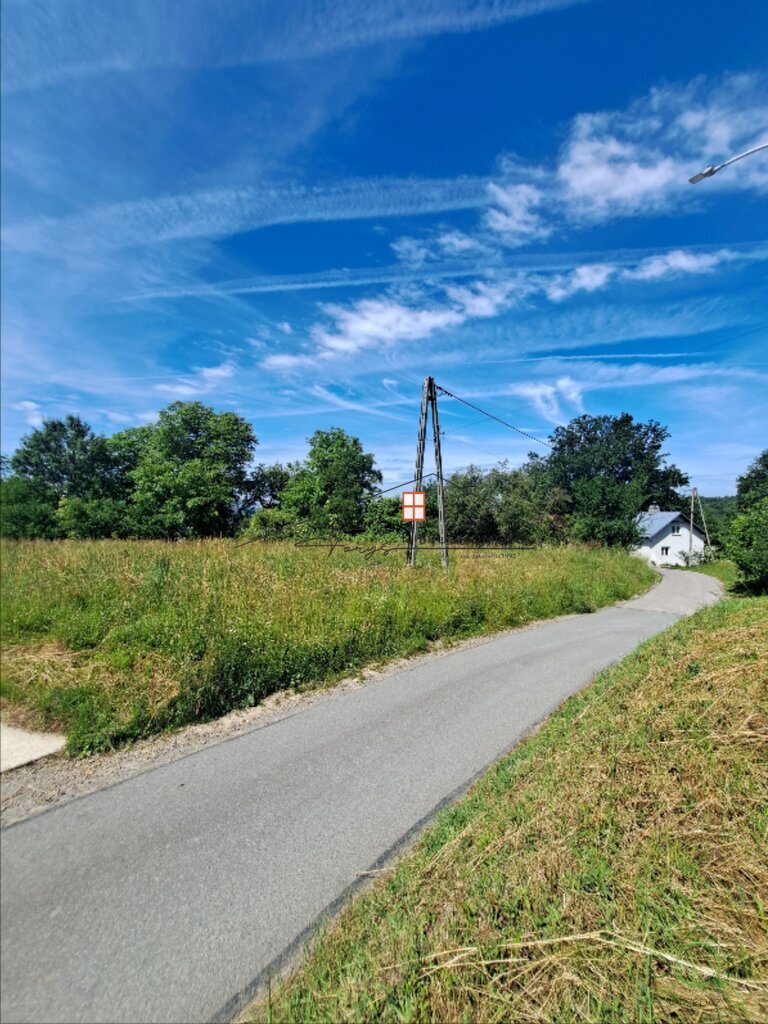 113345819.jpg