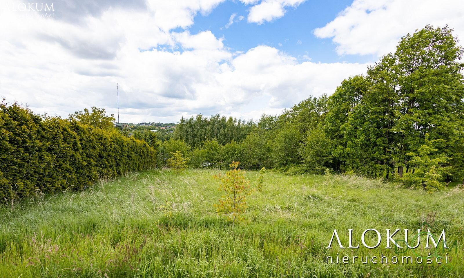 alokum_nieruchomosci_zs_3223_12.jpg