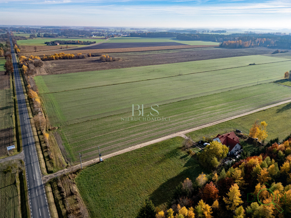 bls_nieruchomosci_zs_EC508588_3.jpg