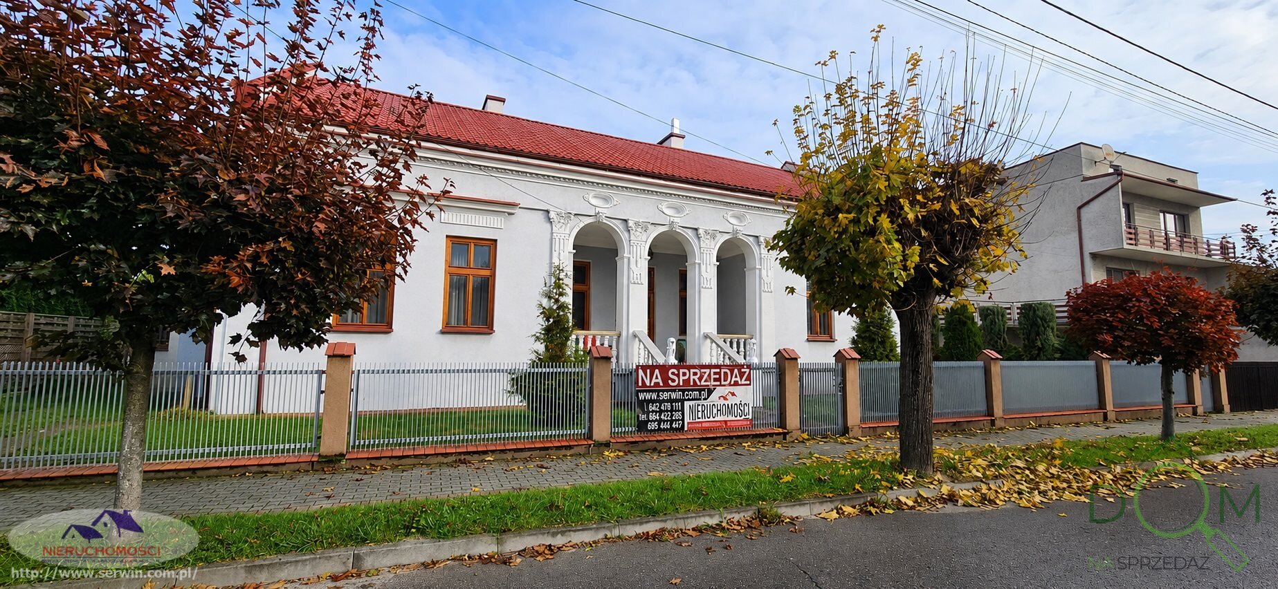 jolanta_serwin_ds_JSN-DS-3110-1_5.jpg