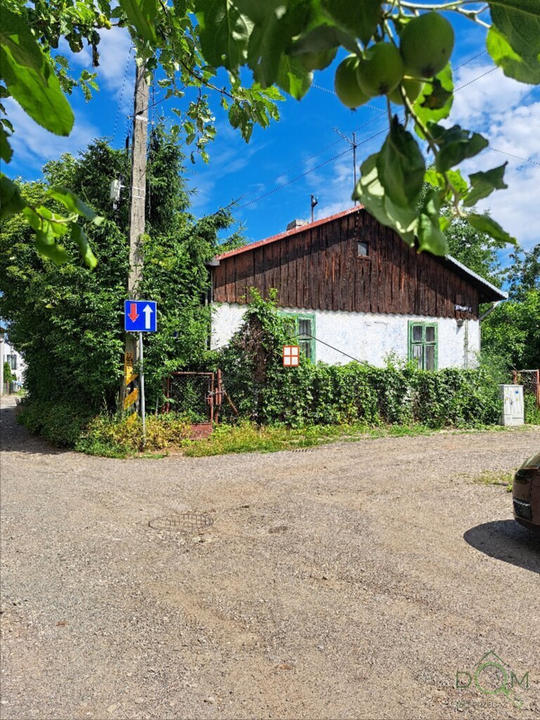 113663499.jpg
