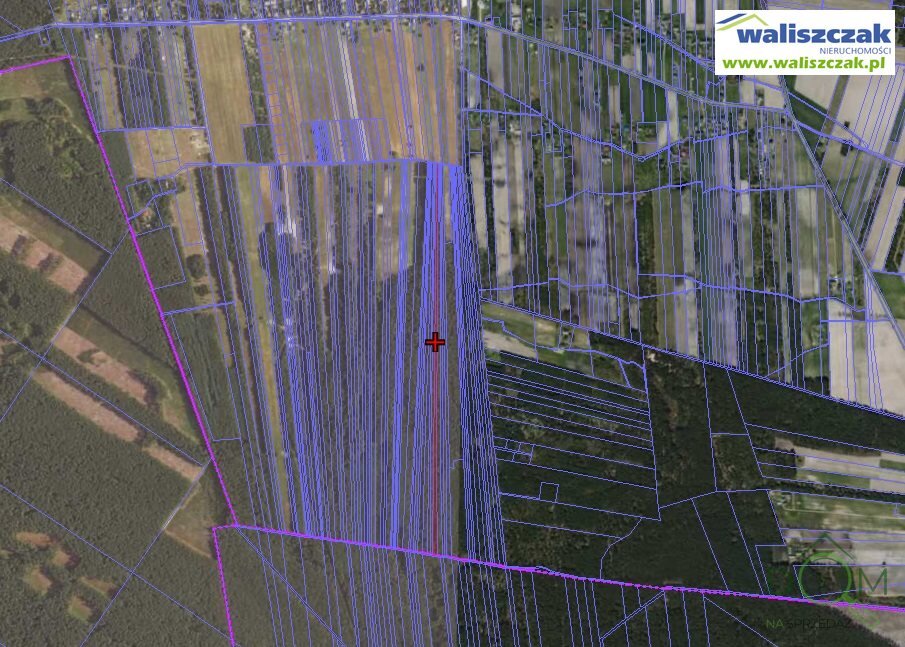 waliszczak_nieruchomosci_zs_GS-14404_1.jpg