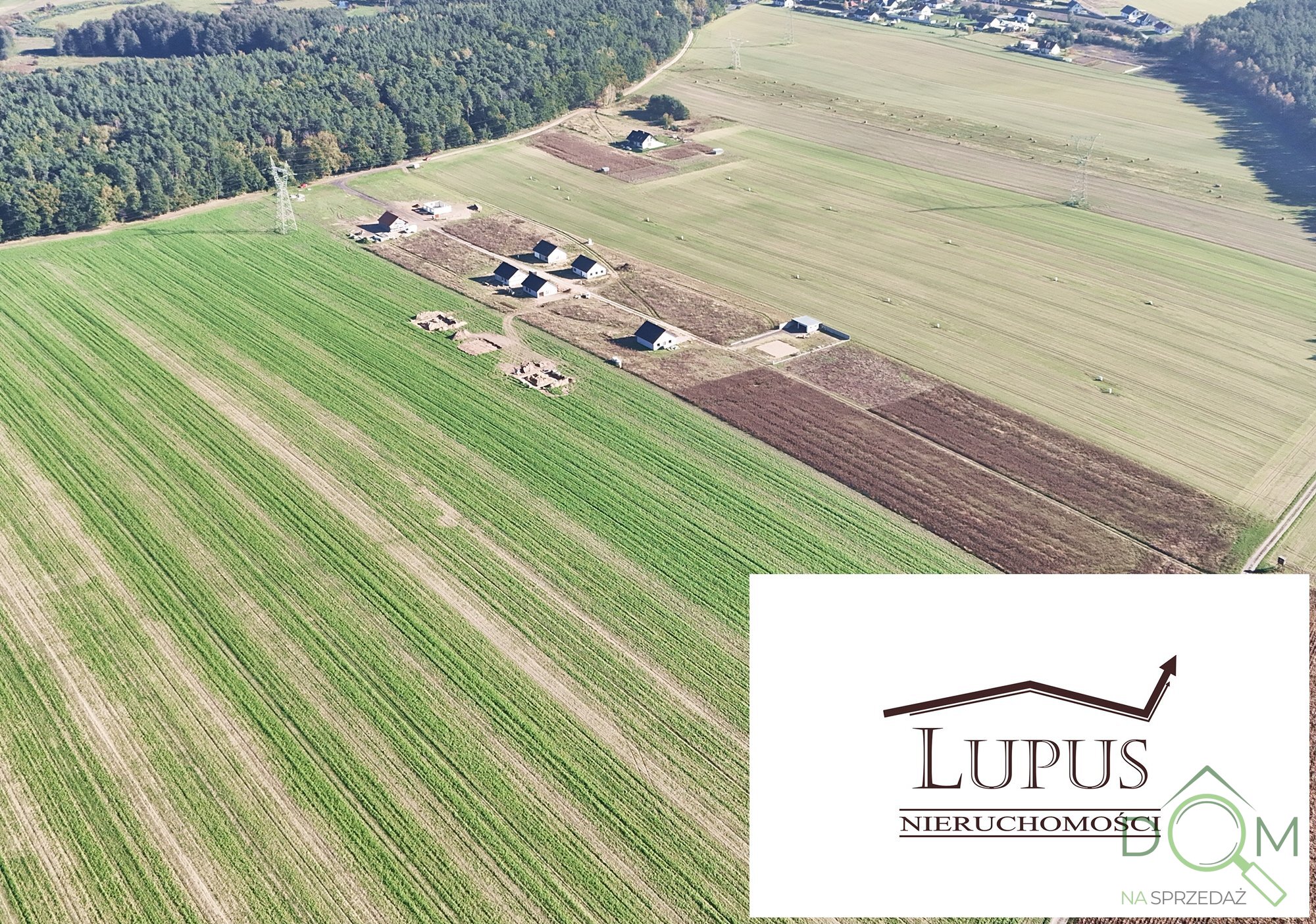 lupus_nieruchomosci_zs_2225_9.jpg
