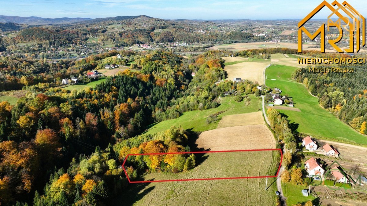 marcin_rzepka_nieruchomosci_zs_373_1.jpg