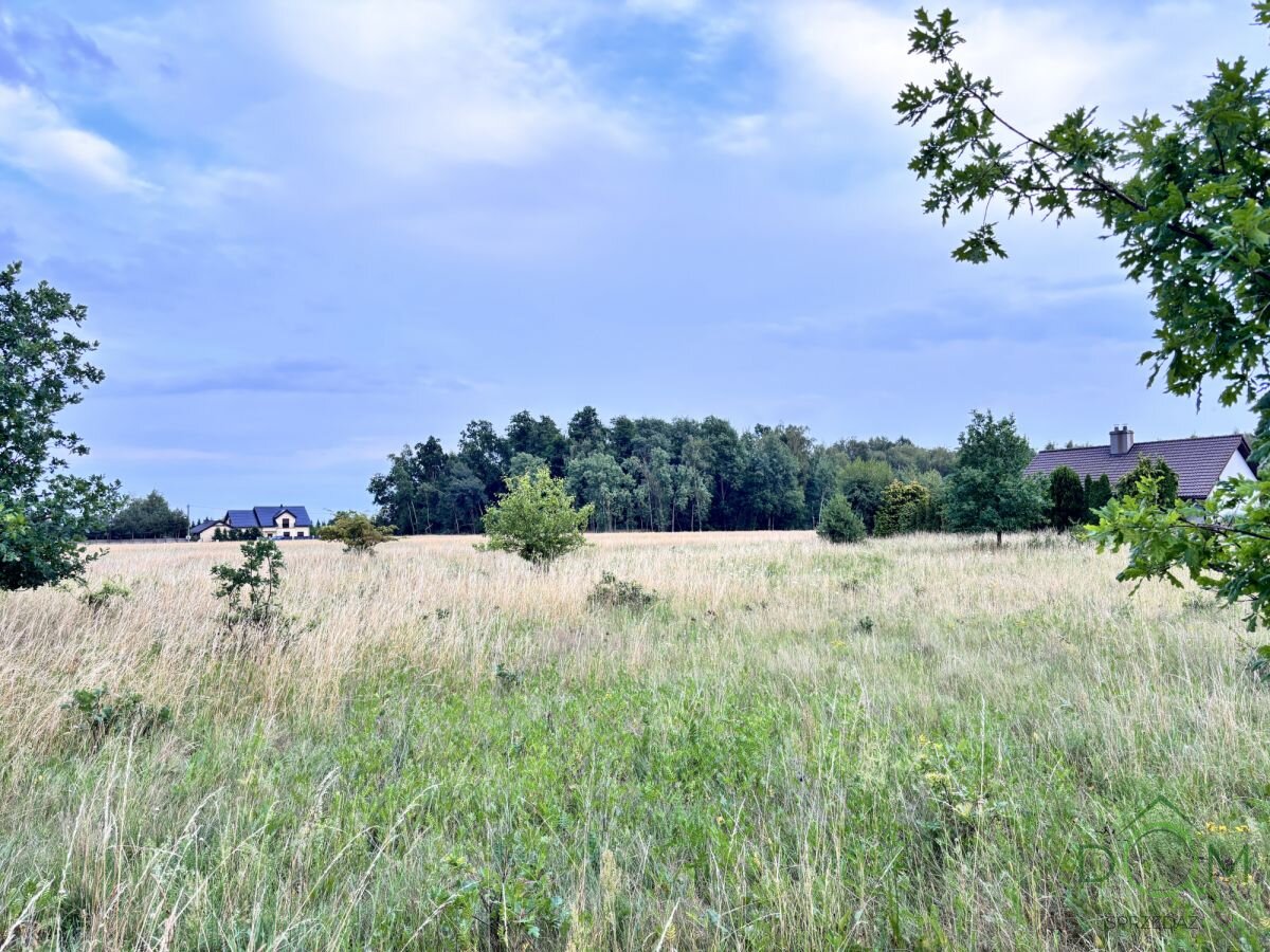 pozysk_nieruchomosci_zs_595403_15.jpg