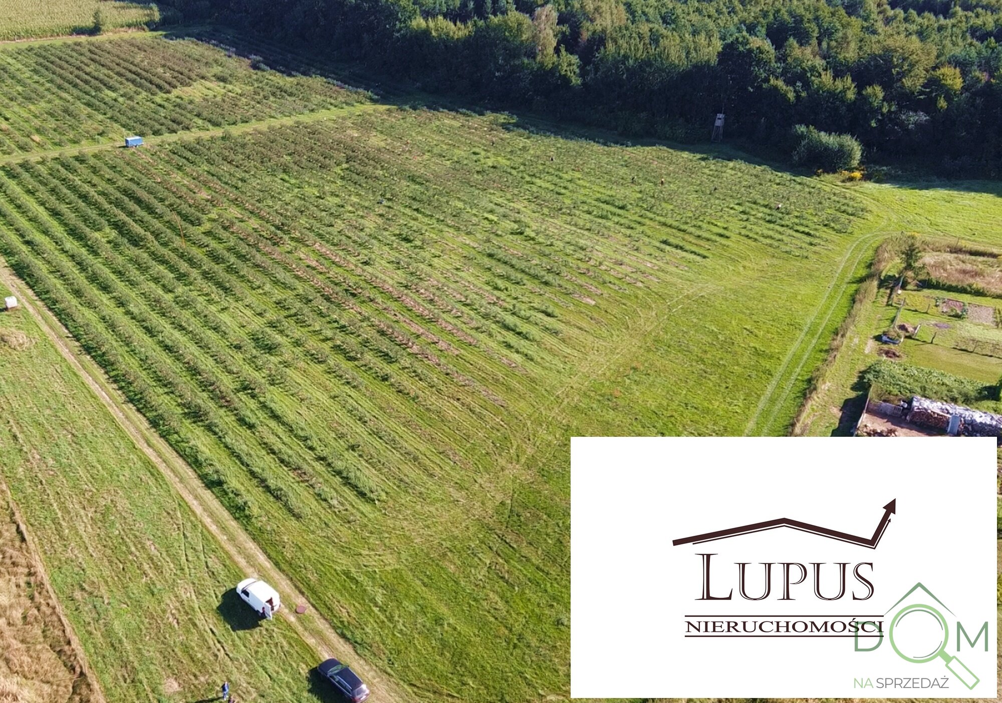 lupus_nieruchomosci_zs_2194_7.jpg