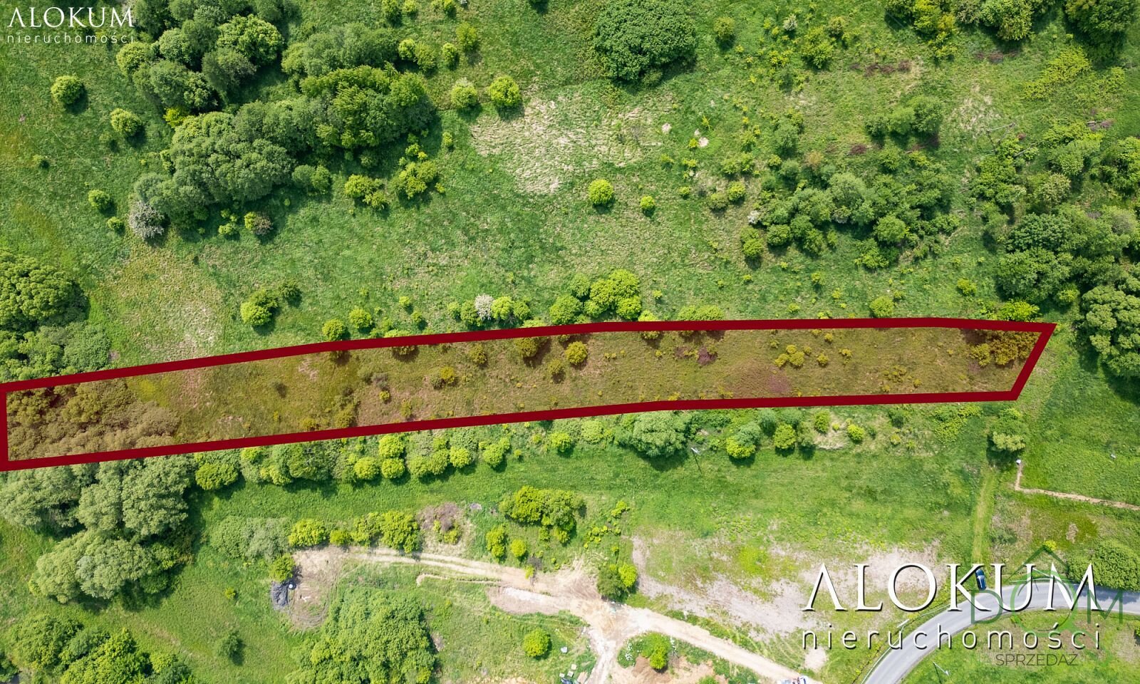 alokum_nieruchomosci_zs_3053_6.jpg