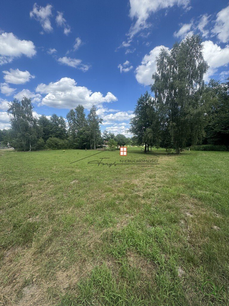 111455064.jpg