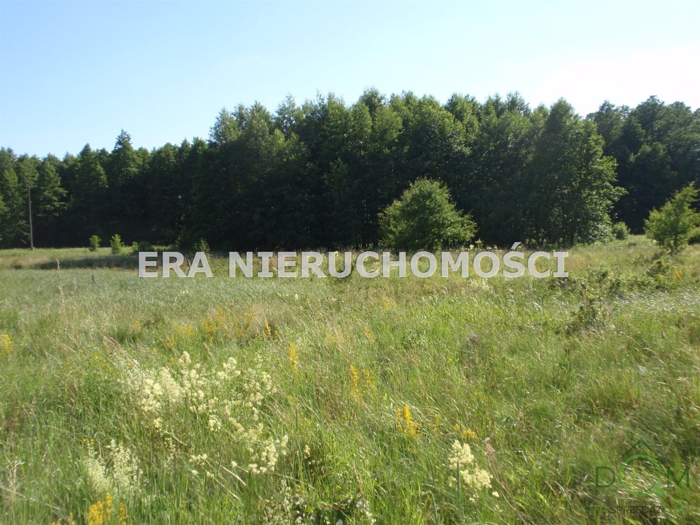 era_nieruchomosci_zs_ERA-GS-534_1.jpg