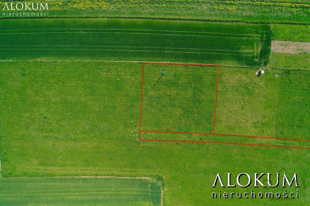 alokum_nieruchomosci_zs_575_3.jpg