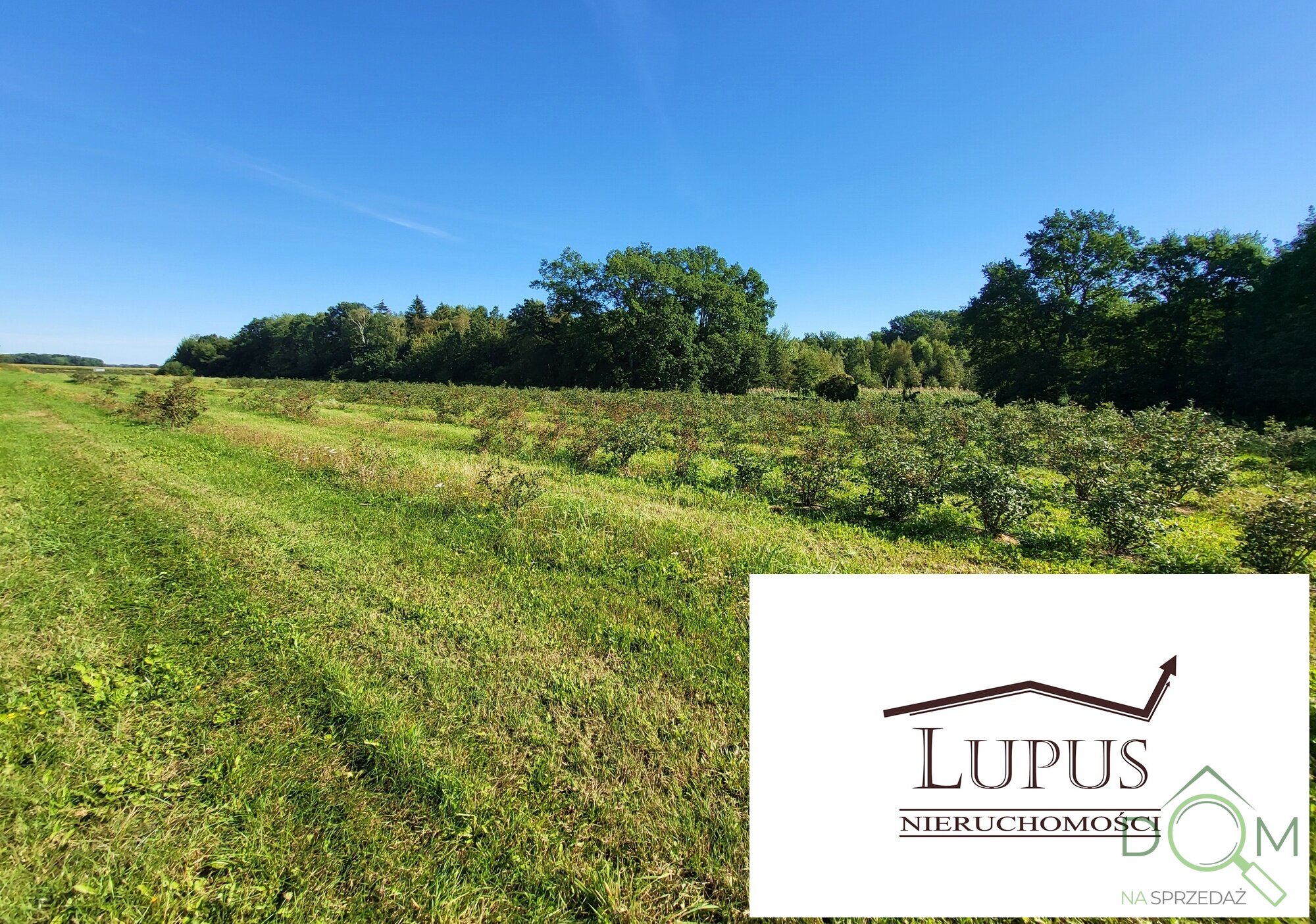 lupus_nieruchomosci_zs_2194_19.jpg