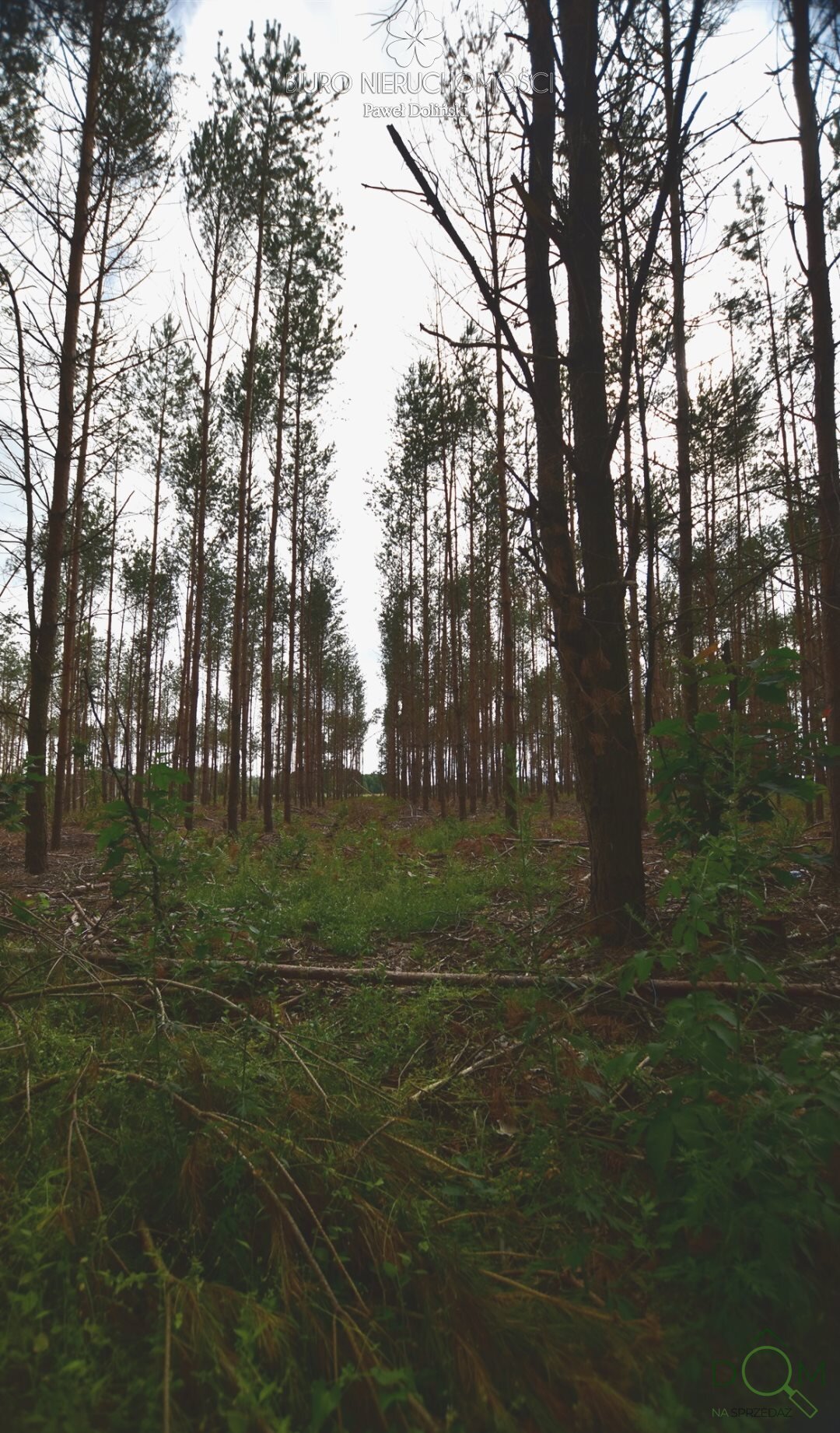 dolinscy_nieruchomosci_zs_PDN-GS-23-1_7.jpg