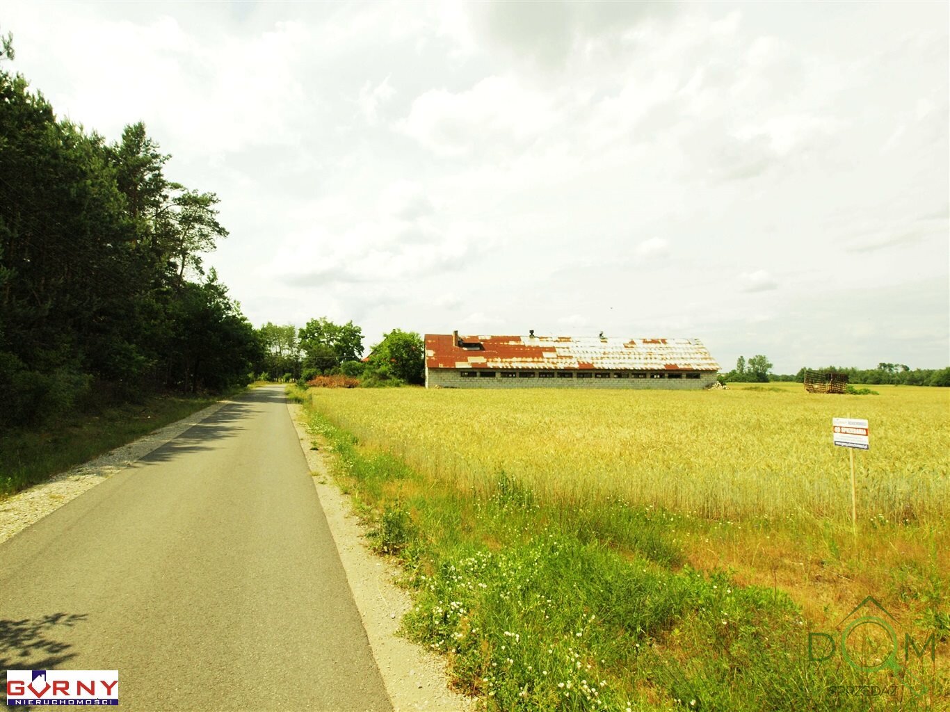 gorny_nieruchomosci_zs_NIG-GS-3633_3.jpg