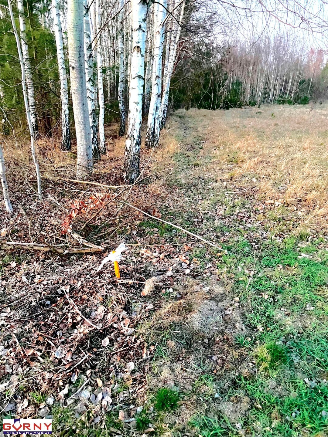 gorny_nieruchomosci_zs_NIG-GS-4276_9.jpg