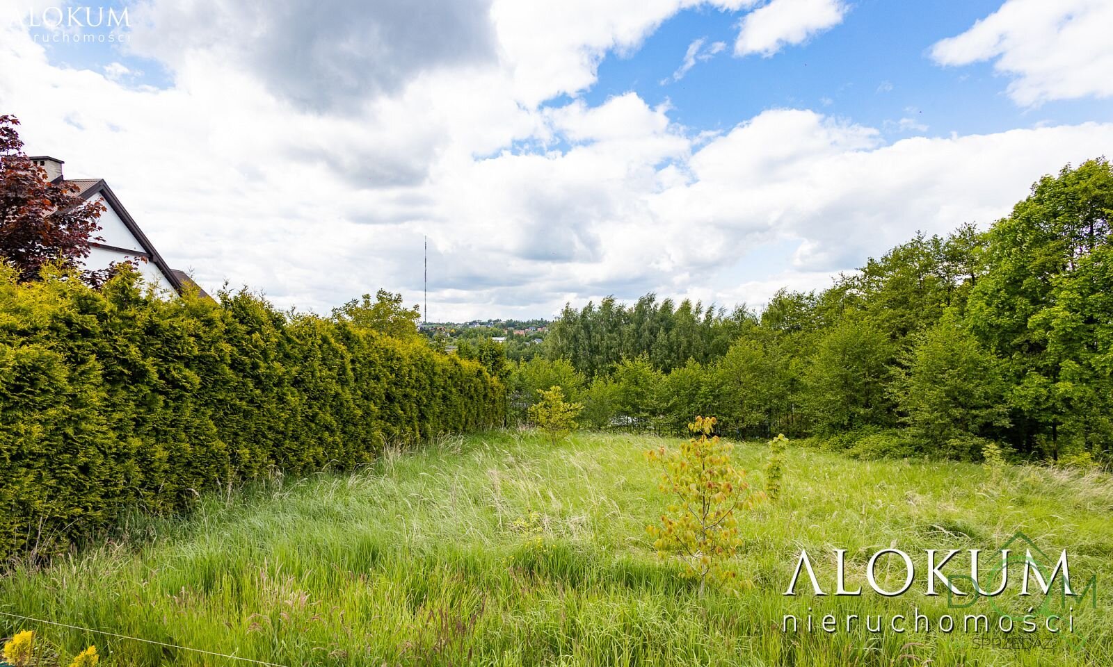 alokum_nieruchomosci_zs_3223_13.jpg