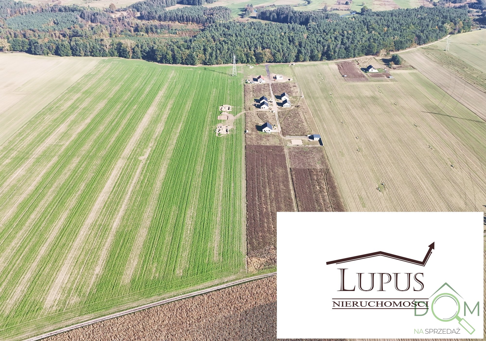 lupus_nieruchomosci_zs_2225_8.jpg