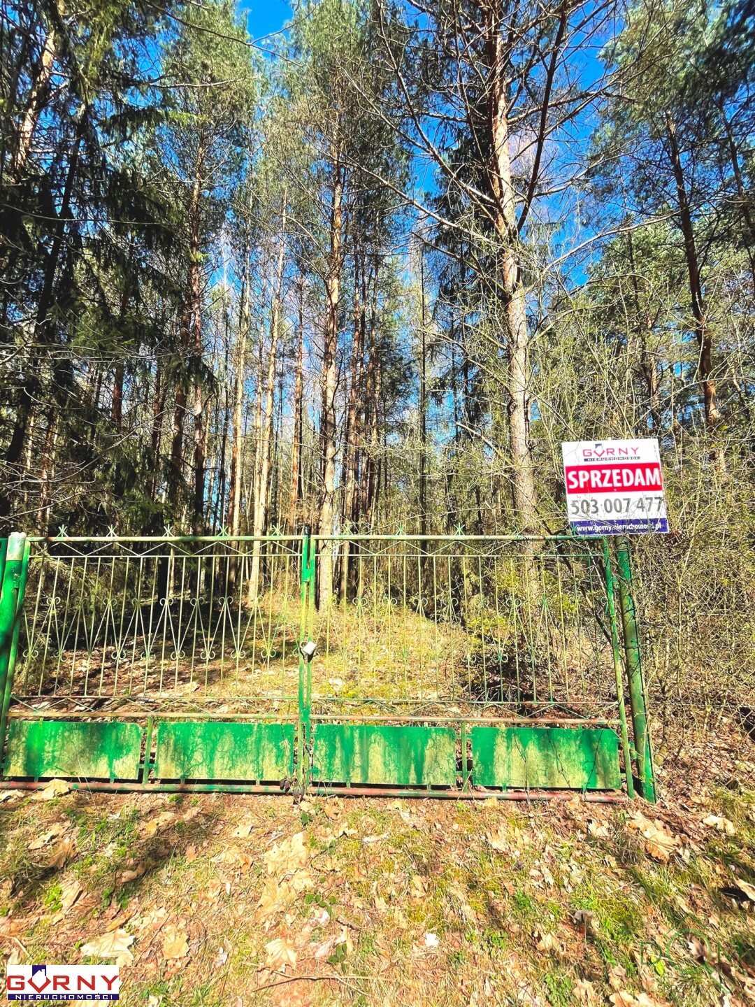 gorny_nieruchomosci_zs_NIG-GS-4462_4.jpg