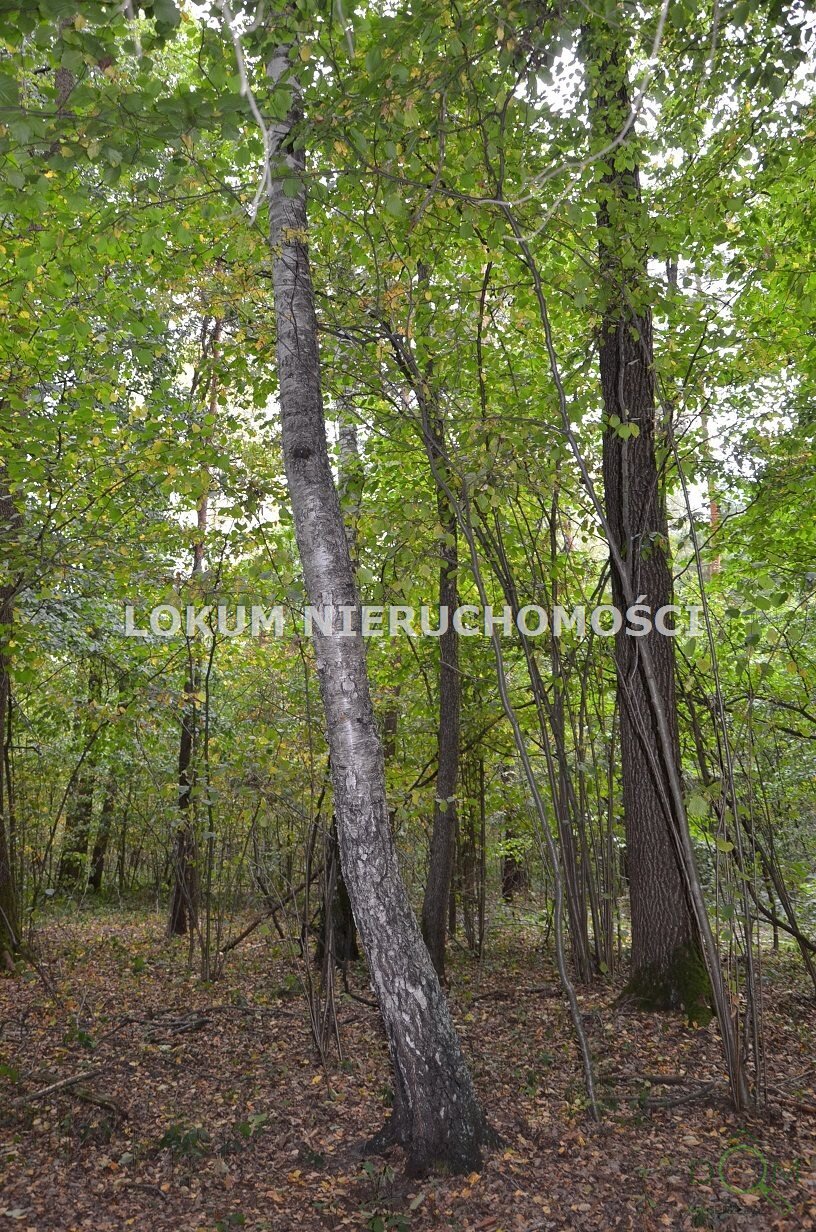 lokum_nieruchomosci_dt_zs_LOK-GS-1786_11.jpg
