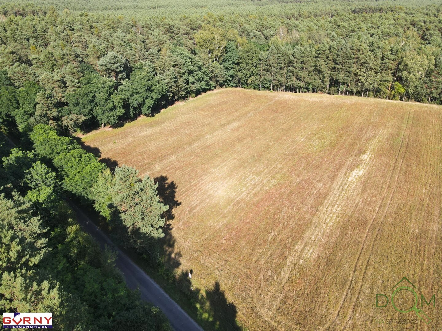 gorny_nieruchomosci_zs_NIG-GS-4612_2.jpg