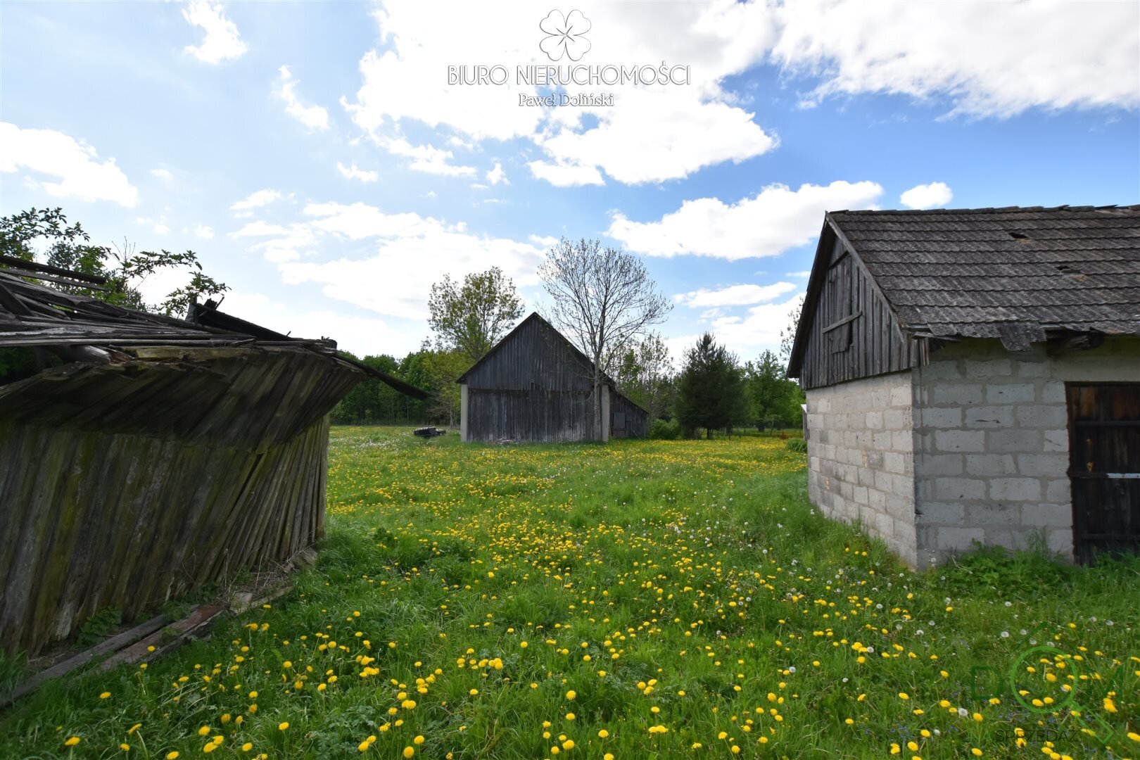 dolinscy_nieruchomosci_ds_PDN-DS-55_16.jpg