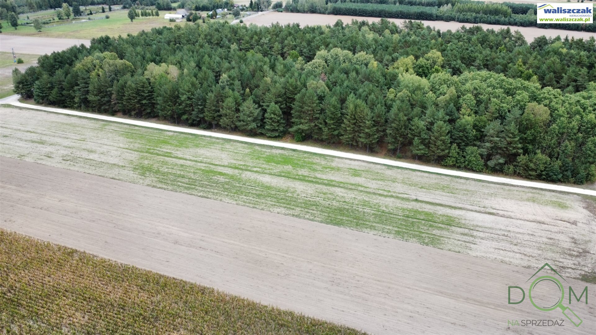 waliszczak_nieruchomosci_zs_GS-14697_3.jpg