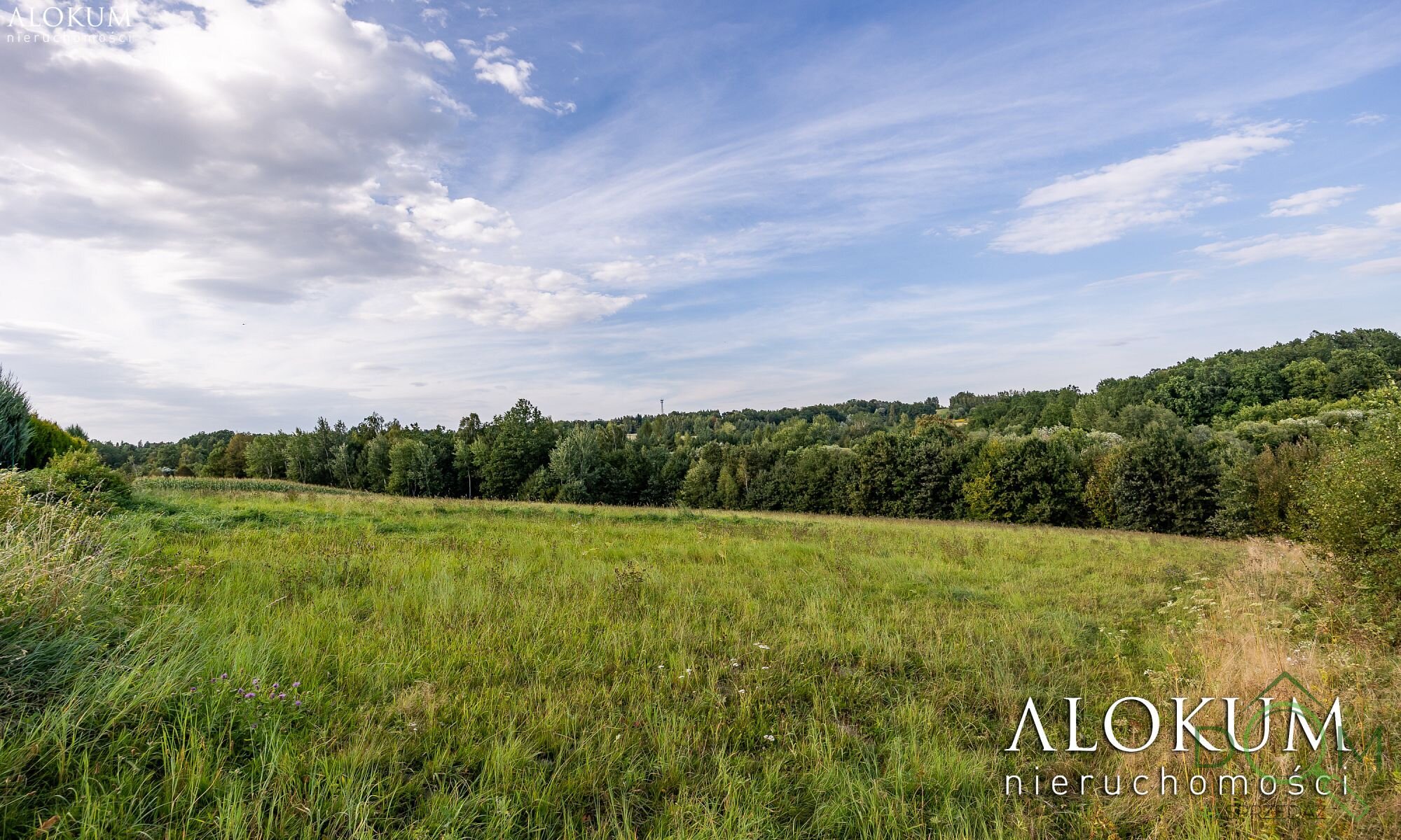 alokum_nieruchomosci_zs_3254_11.jpg