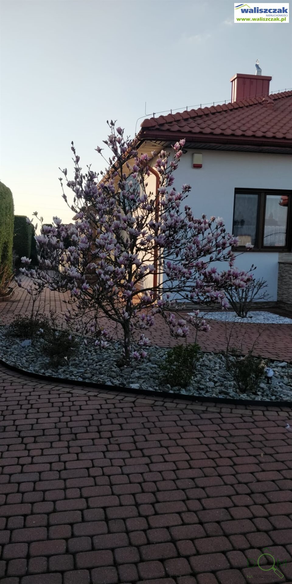 waliszczak_nieruchomosci_ds_DS-14767_22.jpg