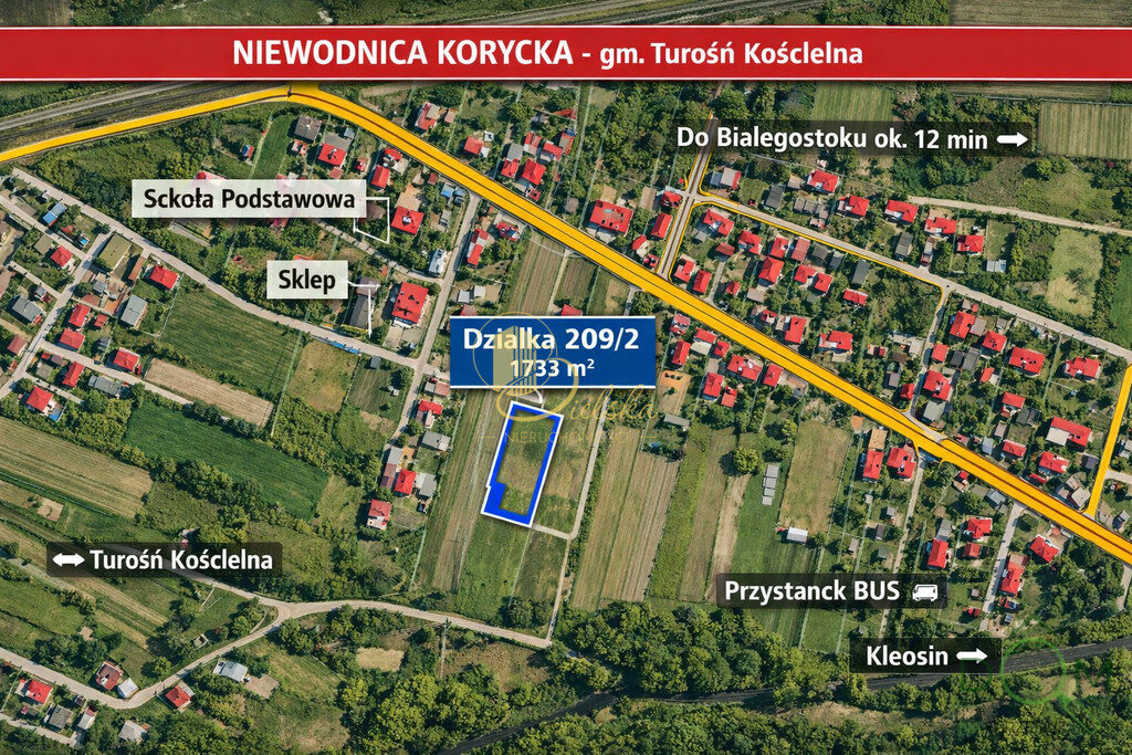 113879550.jpg