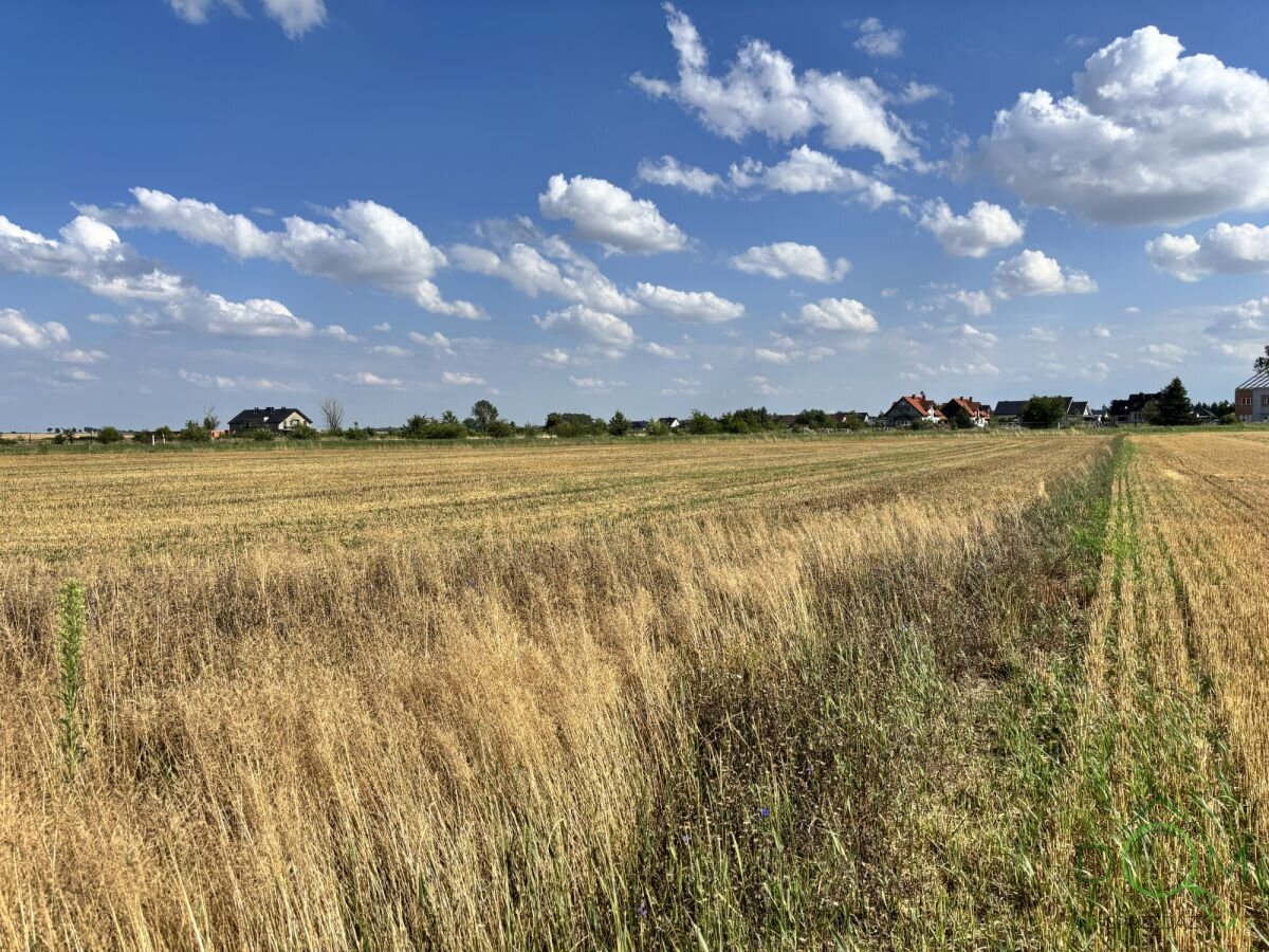 pozysk_nieruchomosci_zs_443568_11.jpg