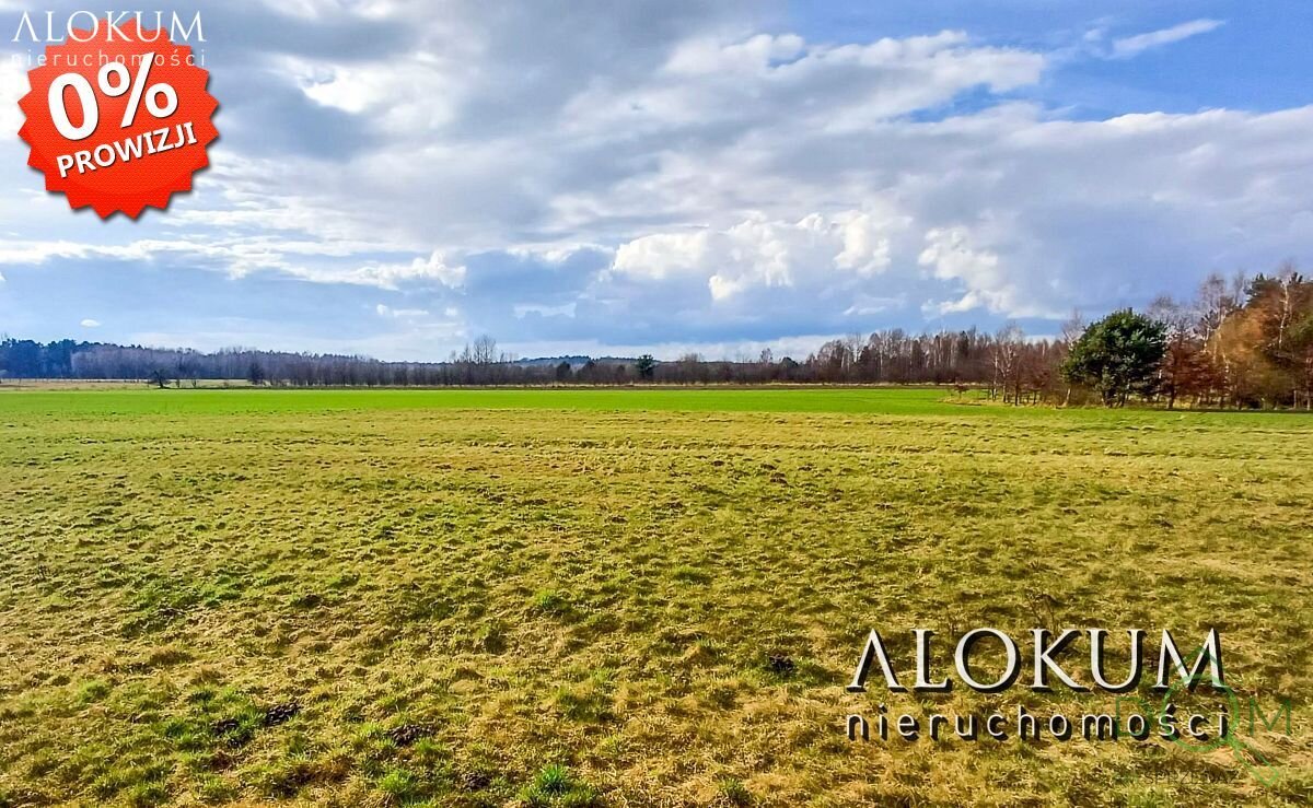 alokum_nieruchomosci_zs_2443_1.jpg
