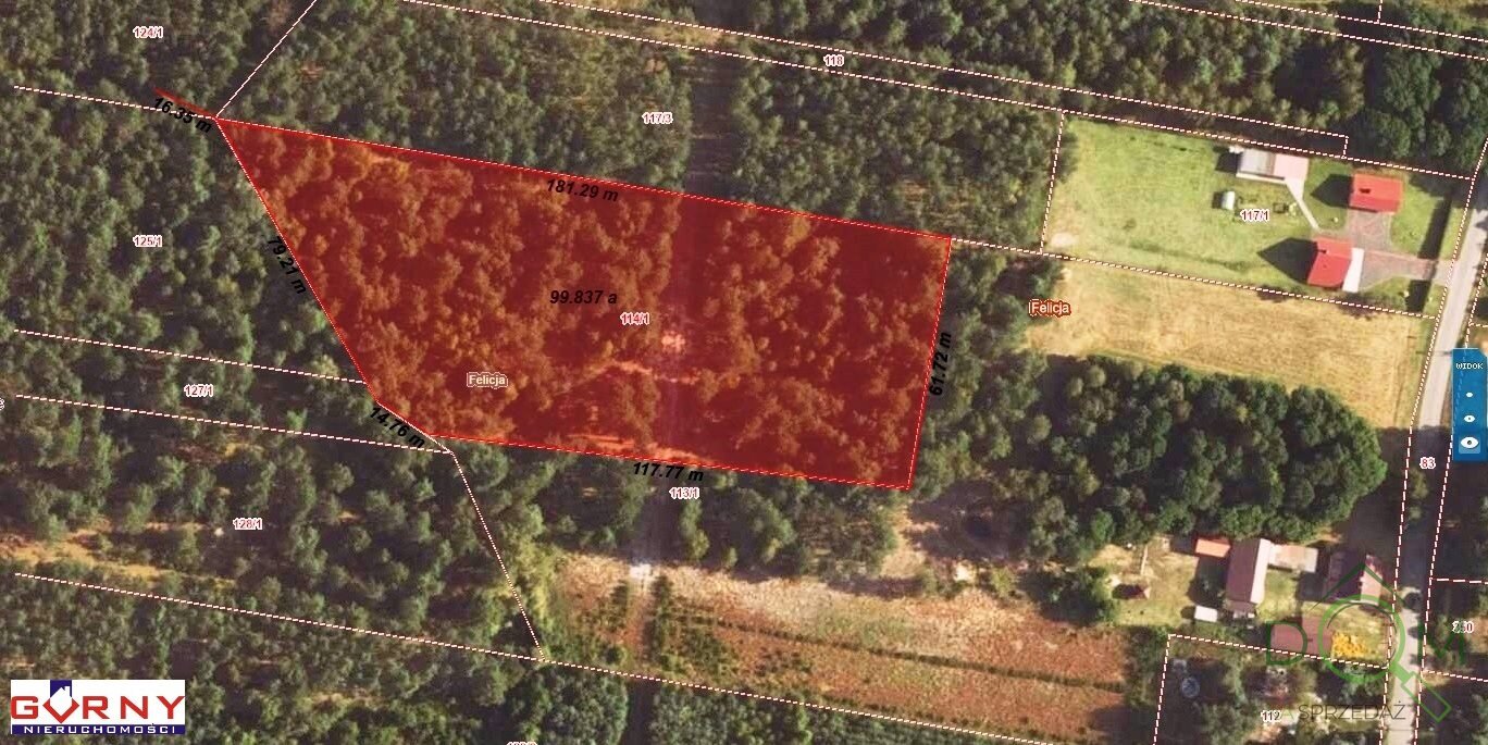 gorny_nieruchomosci_zs_NIG-GS-4644_2.jpg