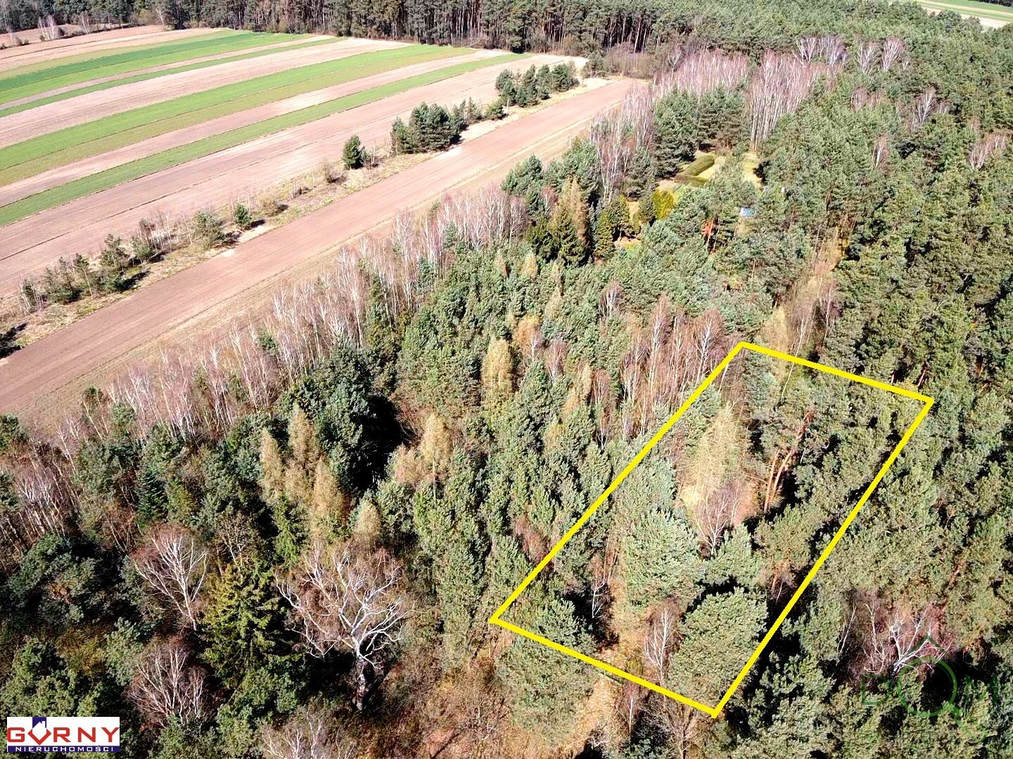 gorny_nieruchomosci_zs_NIG-GS-4462_2.jpg
